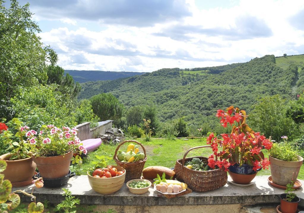 Chez Lucien Bed & Breakfast Trébas Dış mekan fotoğraf