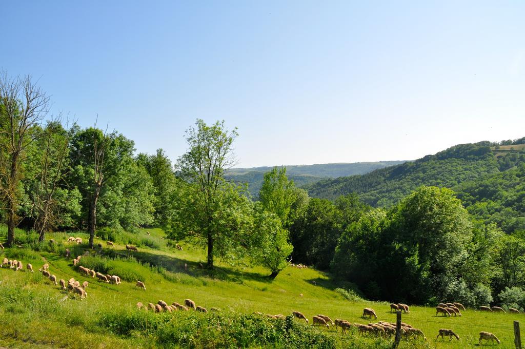 Chez Lucien Bed & Breakfast Trébas Dış mekan fotoğraf