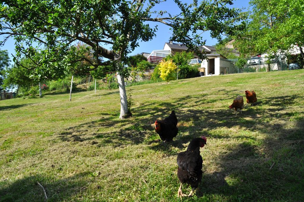 Chez Lucien Bed & Breakfast Trébas Dış mekan fotoğraf